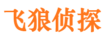 赞皇外遇出轨调查取证